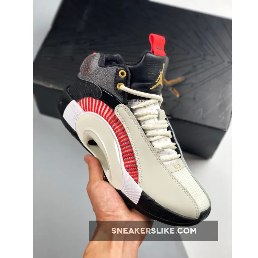 Titan X Air Jordan 35 Grey/Charcoal-Black-Gold DD4701-001 Brand New