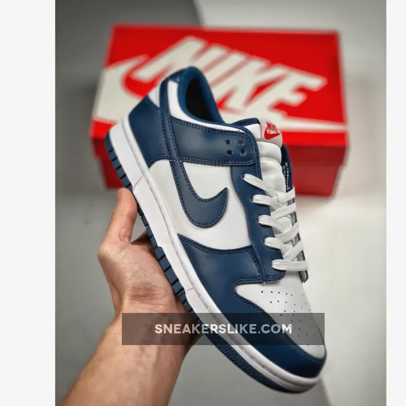 Nike Dunk Low USA Valerian Blue DD1391-400