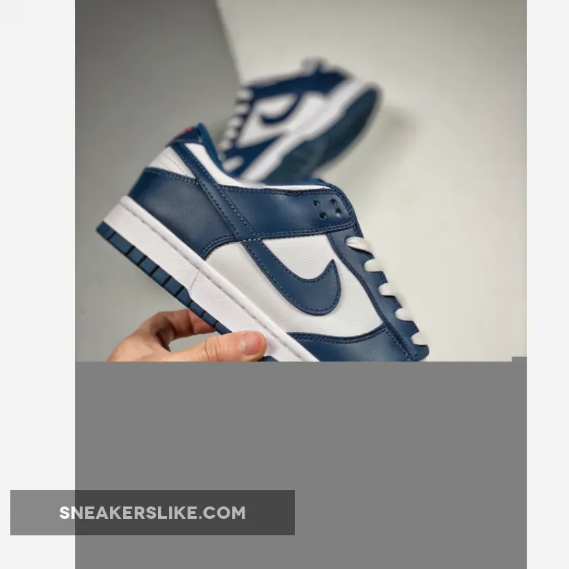 Nike Dunk Low USA Valerian Blue DD1391-400