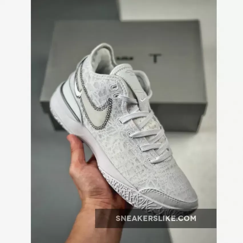 Nike Zoom LeBron NXXT Gen White Black Metallic Silver DR8784-101