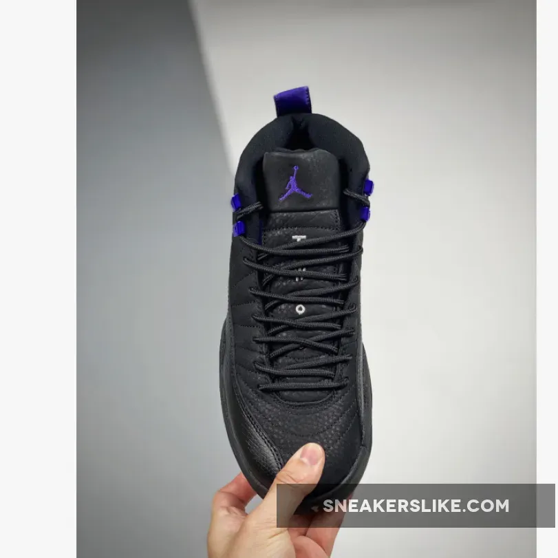 Air Jordan 12 'Dark Concord' CT8013-005 / jordan 12 dark concords