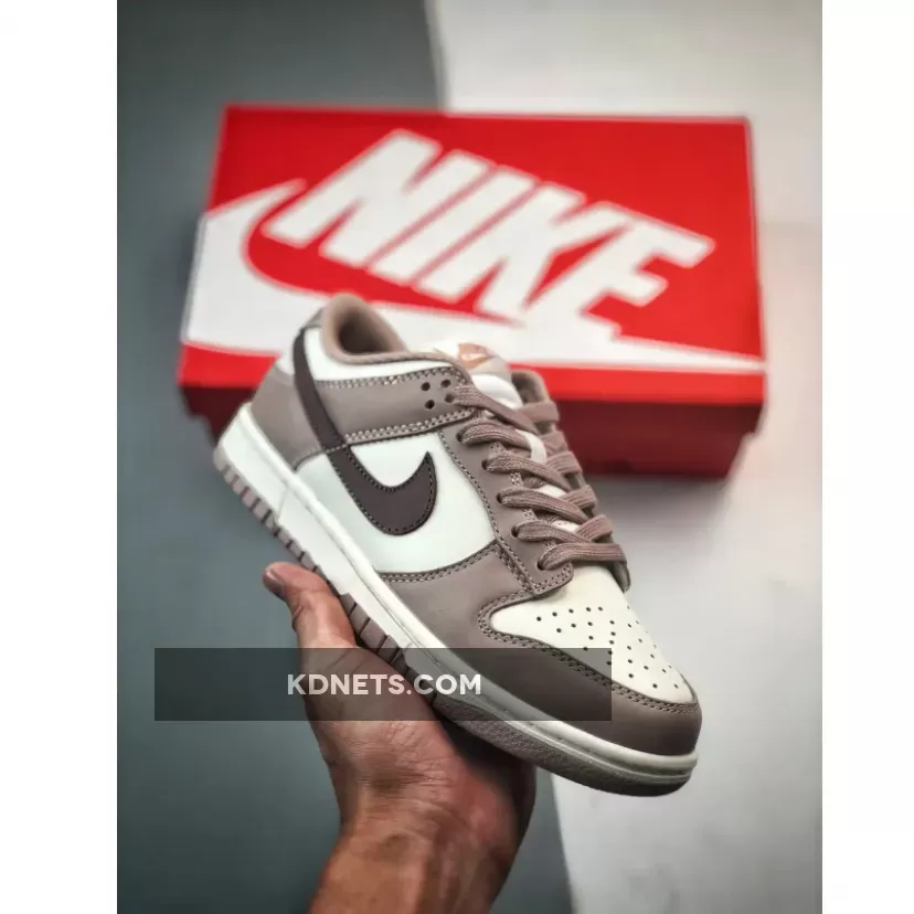 Nike Dunk Low Diffused Taupe/Sail